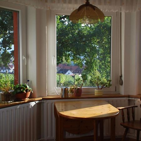 康斯坦茨Rotes Haus Ueber Den Weinbergen公寓 外观 照片